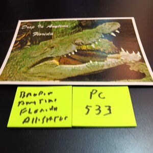 Envoyez-nous votre carte postale vintage avec alligator de Floride PC 533