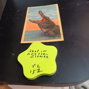 Envoyez-nous votre carte postale de Floride vintage PC 152