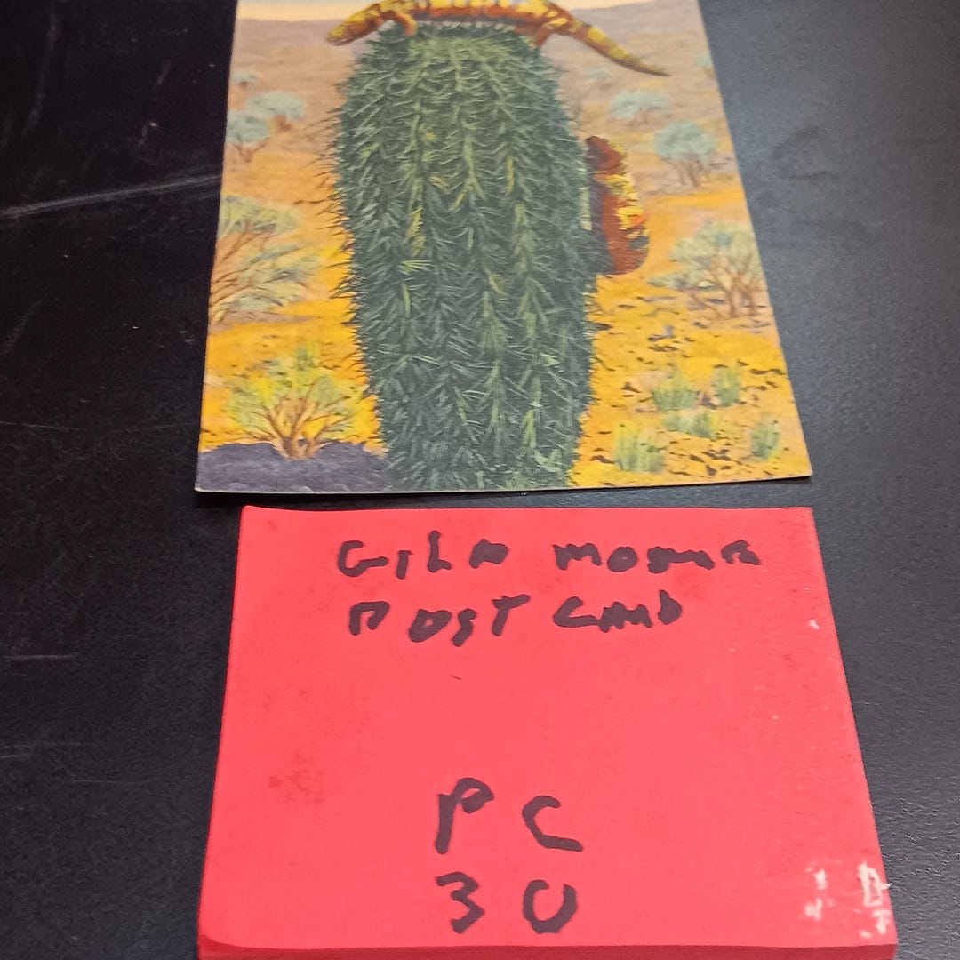 Gila Monster Post Card Vintage PC 30 - Etsy