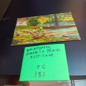 Carte postale Une ferme d'alligators en Floride PC 131 vintage