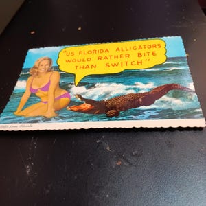 Les alligators de Floride préfèrent mordre que changer de carte postale vintage PC 537