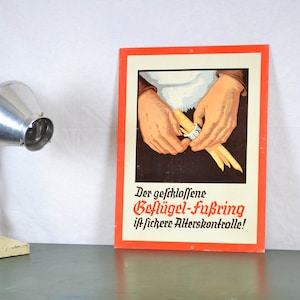 alte Lehrtafel zur Geflügelzucht 20er 30er Schultafel Image Wandtafel Vintage Design Schulkarte Lehrmittel poultry Huhn chicken Deko