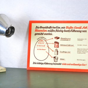 alte Lehrtafel zur Geflügelzucht 20er 30er Schultafel Image Wandtafel Vintage Design Schulkarte Lehrmittel poultry Huhn chicken Deko Ei egg