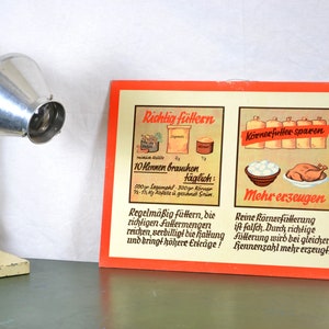 alte Lehrtafel zur Geflügelzucht 20er 30er Schultafel Image Wandtafel Vintage Design Schulkarte Lehrmittel poultry Huhn chicken Deko
