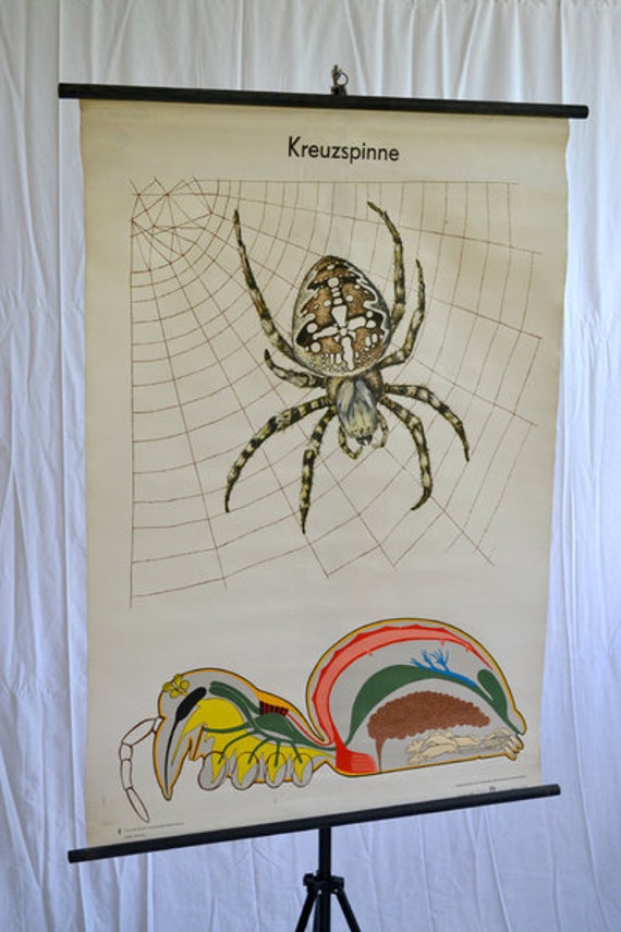 ヴィンテージ壁掛けパズルスパイダー