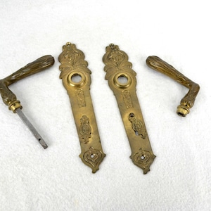 Könnte beinhalten: Ein Satz von zwei antiken Messing-Türgriffen mit verzierten Blumendesigns. Die Griffe sind aus massivem Messing gefertigt und haben eine polierte Oberfläche. Jeder Griff enthält eine passende Rückplatte.