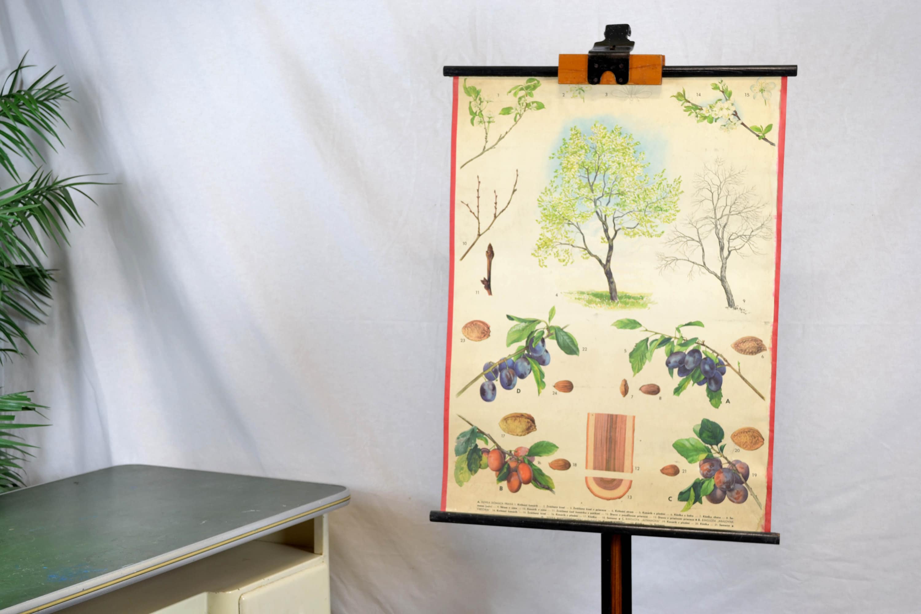 arbre à chat design