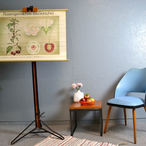 alte Rollkarte DDR Kirsche Rosengewächse Schultafel Image Wandtafel Vintage Design Lehrmittel 80er 70er Süßkirsche Brocante Wandbild