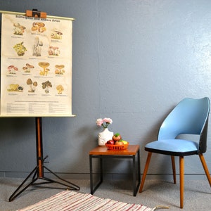 alte Rollkarte DDR Pilze Blätterpilze Schultafel Image Wandtafel Vintage Design Lehrmittel 60er 70er Brocante Wandbild