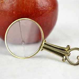 May include: A gold-toned magnifying glass with a round lens and ornate handle rests in front of a red apple. The magnifying glass has a decorative handle with a heart-shaped design. The apple is a deep red color.