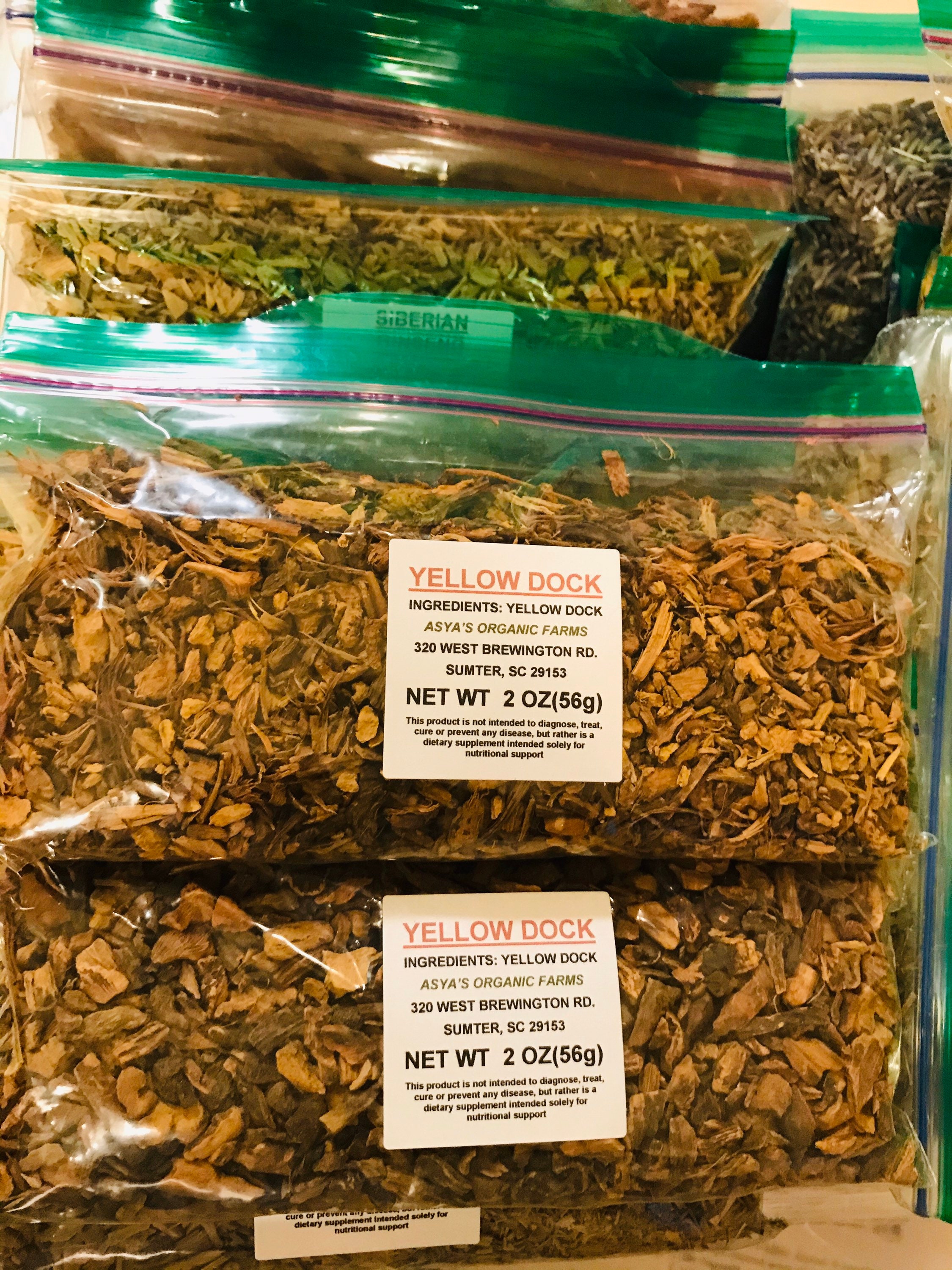 Yellow Dock Root Tea Etsy UK