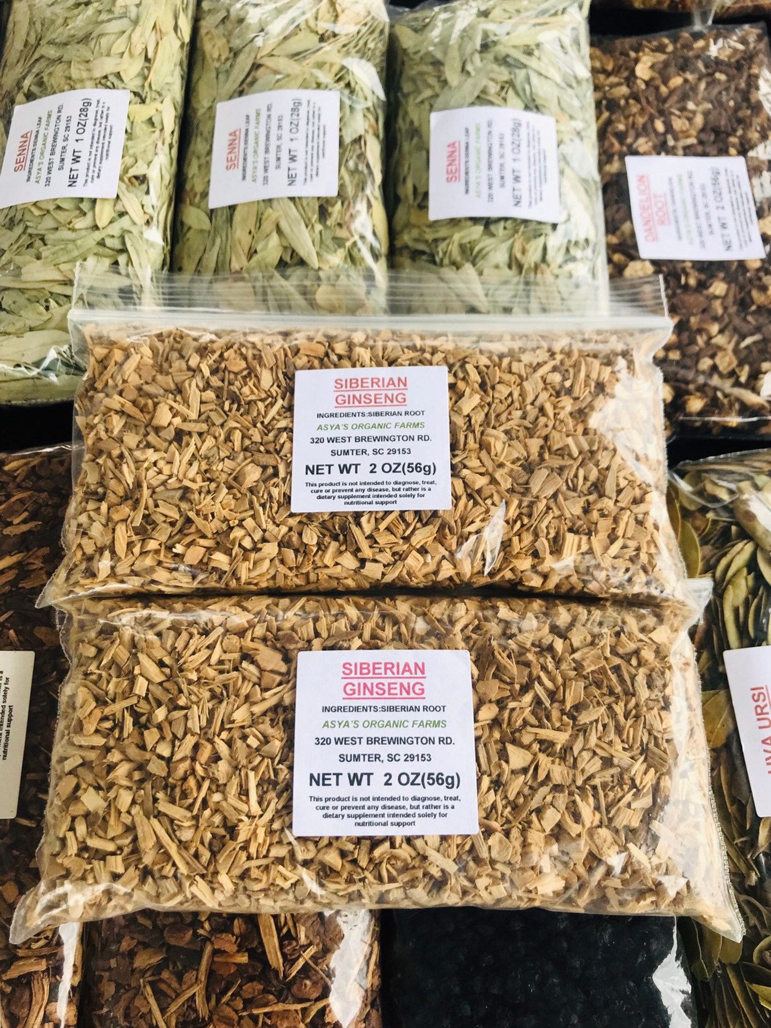 Siberian Ginseng Root Tea Etsy