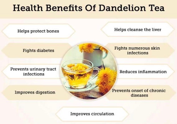 Top 10 Health Benefits Of Dandelion Root You Must Know