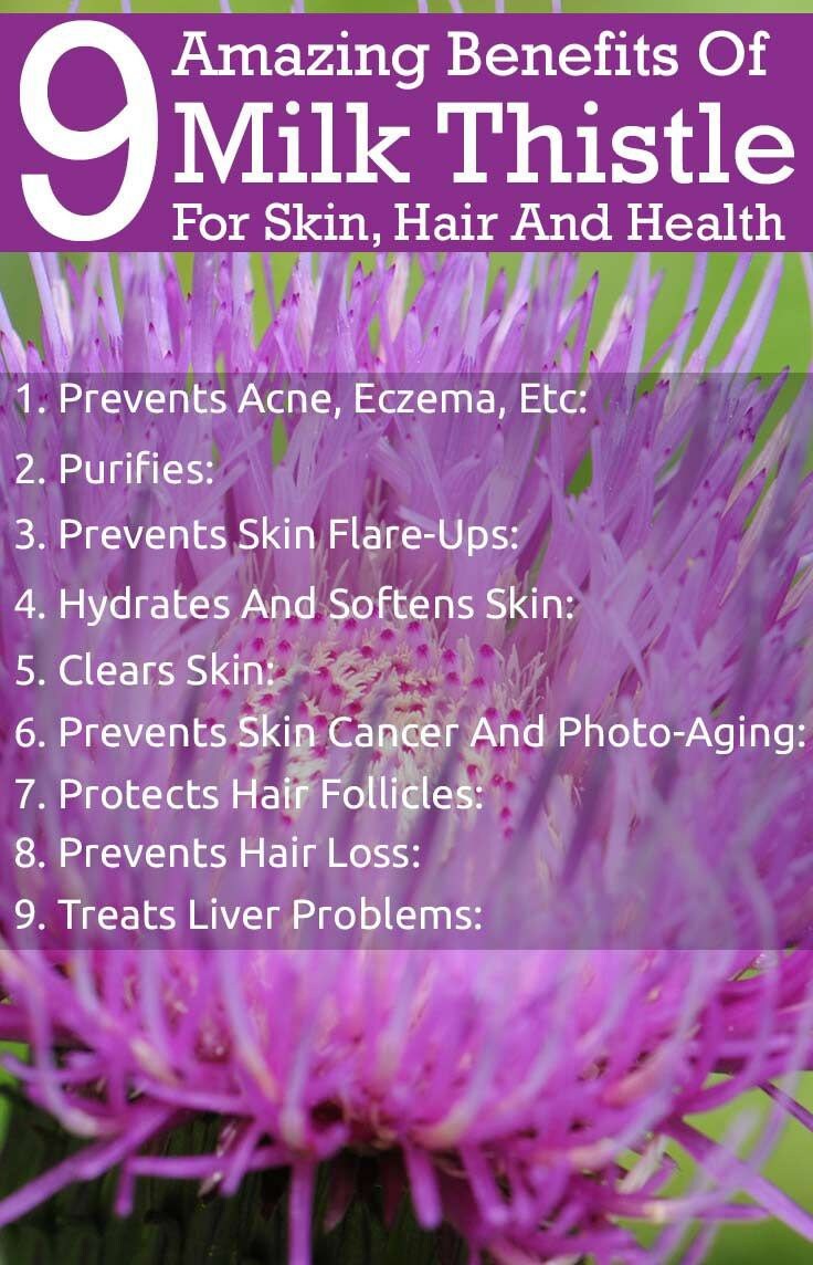 Organic Milk Thistle 50 500mg Veg.caps Etsy