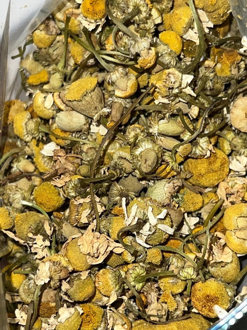 Chamomile Tea/flowers 1oz or 2oz image 3