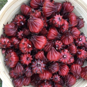 May include: A bowl filled with red hibiscus flowers, also known as roselle, with a textured, light brown surface.