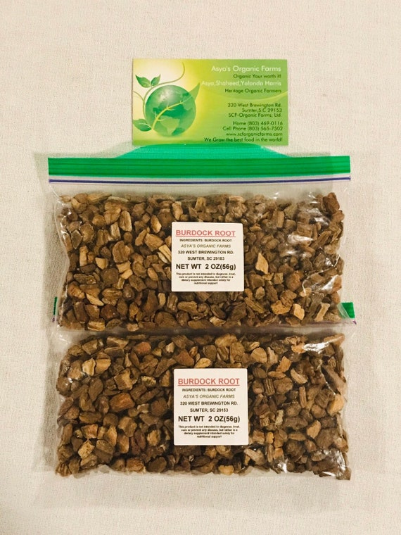 Organic Burdock Root Tea - Etsy