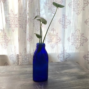 Botella de vidrio azul cobalto vintage