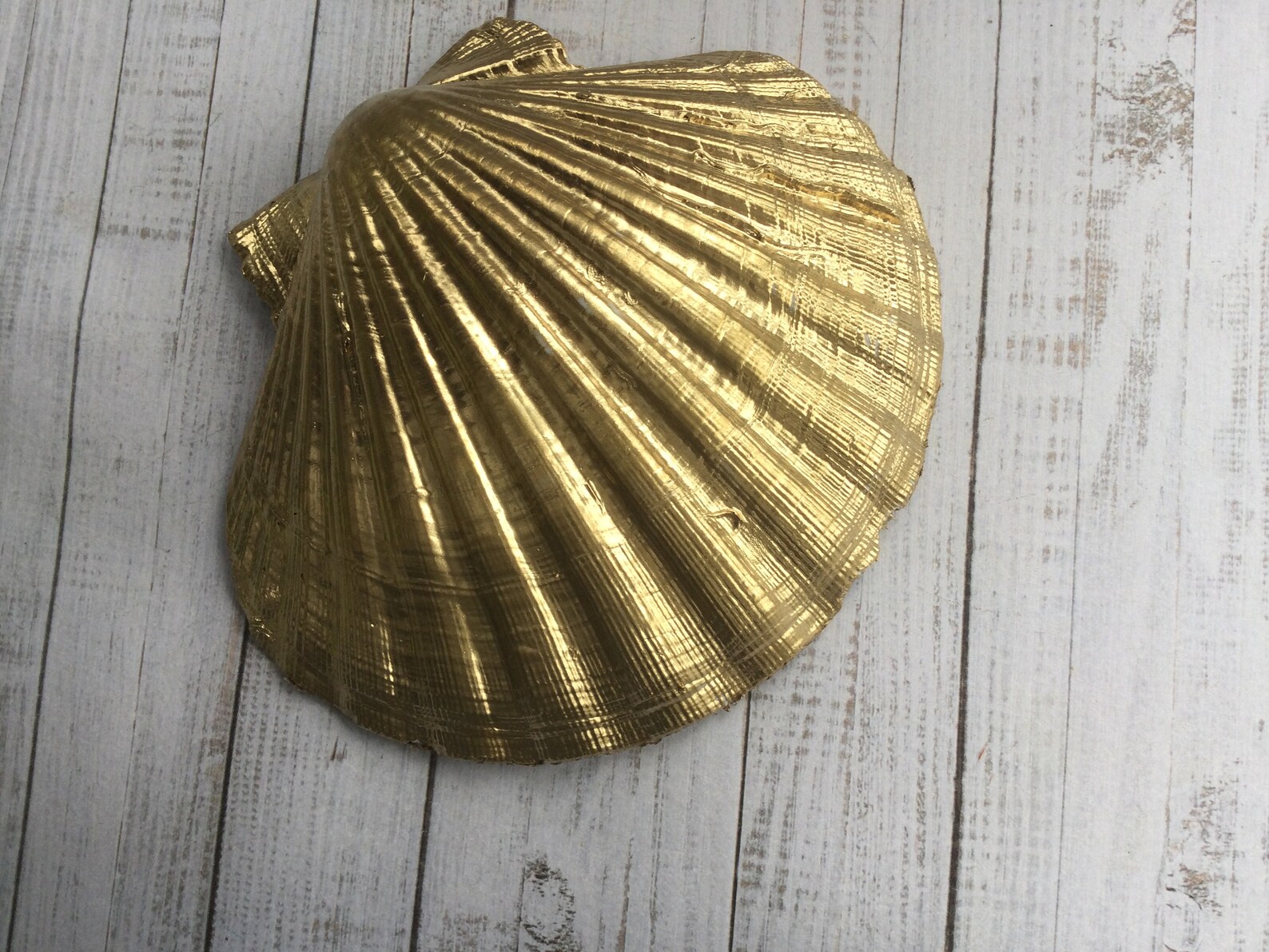 Hummingbird Shell Jewellery Dish. Gold Jewellery Dish. Pot | Etsy