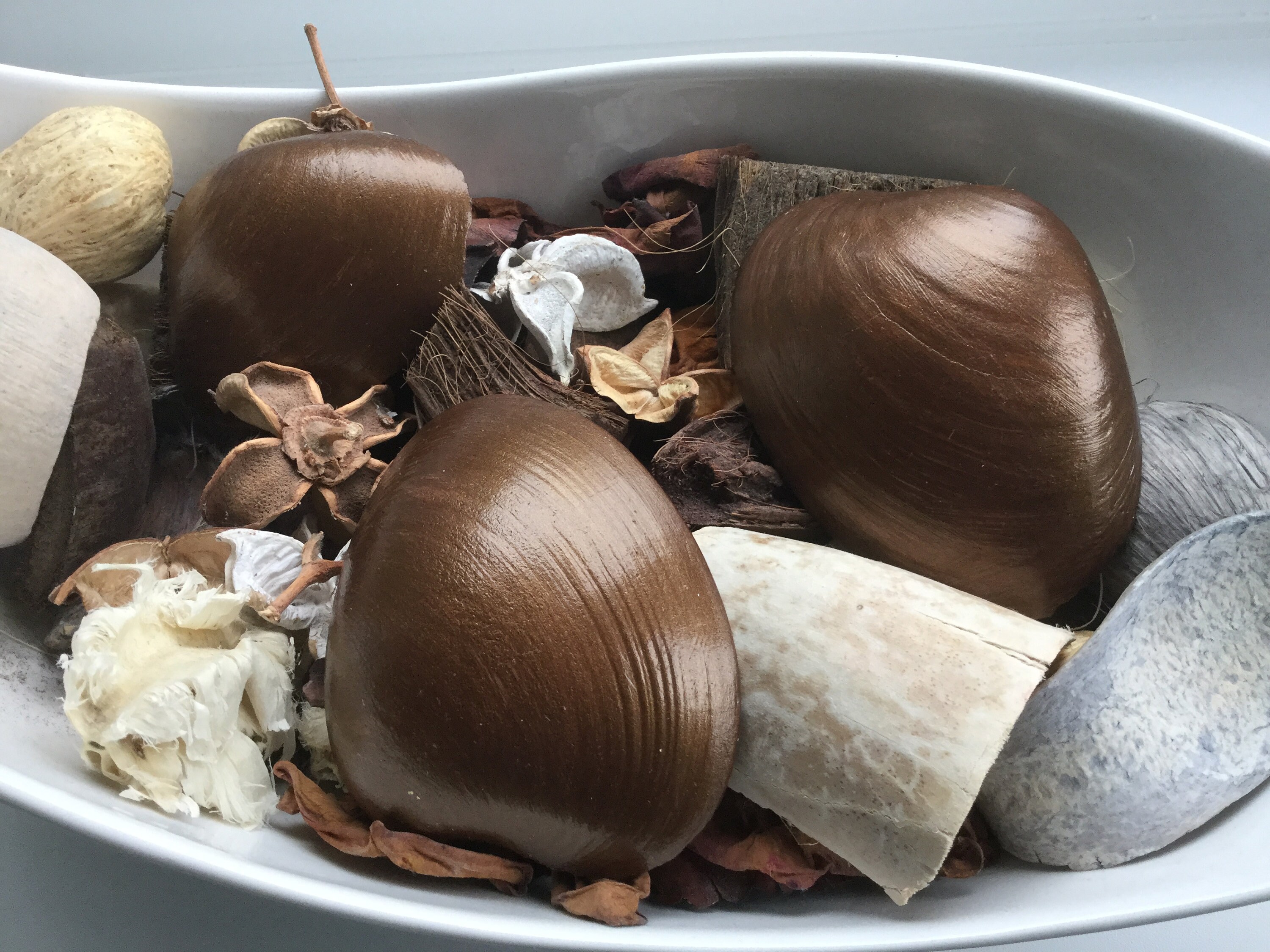 3 Brown Painted Shells Brown Bathroom Decorations Sea Shell Etsy