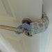 see more listings in the Doorstop section