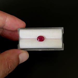 May include: A vibrant red oval-cut ruby gemstone displayed in a clear plastic case with a white foam insert. The ruby is a deep, rich red color, and the case is held against a dark background.