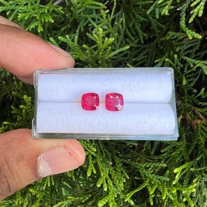 May include: Two cushion-cut, vibrant red gemstones are displayed side-by-side within a clear, rectangular plastic storage case. The case features a white, soft-textured insert with two horizontal slots designed to hold the loose stones securely.