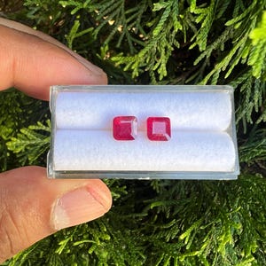 以下が含まれることがあります： 透明なプラスチック製の収納ボックスの中に、鮮やかな赤色のスクエアカットの宝石が2つ並んでいます。ボックスの内側は白いクッション素材になっており、2つの水平なスロットが宝石をしっかりと固定して展示できるようになっています。
