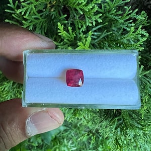 May include: A cushion-cut, deep red gemstone is displayed inside a clear, rectangular plastic display box. The box features a white, soft, padded interior with a central slot designed to hold the loose, faceted stone securely in place.