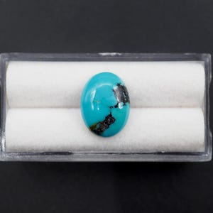 Puede incluir: Gema turquesa ovalada con inclusiones de matriz oscura, exhibida en una caja de plástico transparente con interior de tela blanca. La gema es de un color azul-verdoso vibrante.