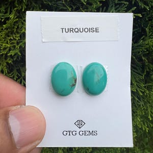 May include: Two oval-shaped turquoise gemstones with natural brown matrix inclusions, mounted on a white display card labelled TURQUOISE and featuring the GTG GEMS logo at the bottom. The stones are smooth, polished, and vibrant blue-green in colour.
