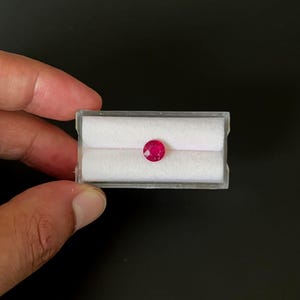 May include: A small, round, vibrant red ruby gemstone displayed in a clear plastic case with a white interior. The gemstone is held between two fingers against a dark background. The ruby is the focal point.