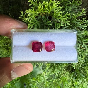 Puede incluir: Dos piedras preciosas de color rojo vibrante con corte cojín se muestran lado a lado dentro de una caja de exhibición de plástico transparente. La caja cuenta con un inserto blanco de textura suave con dos ranuras horizontales para las piedras.