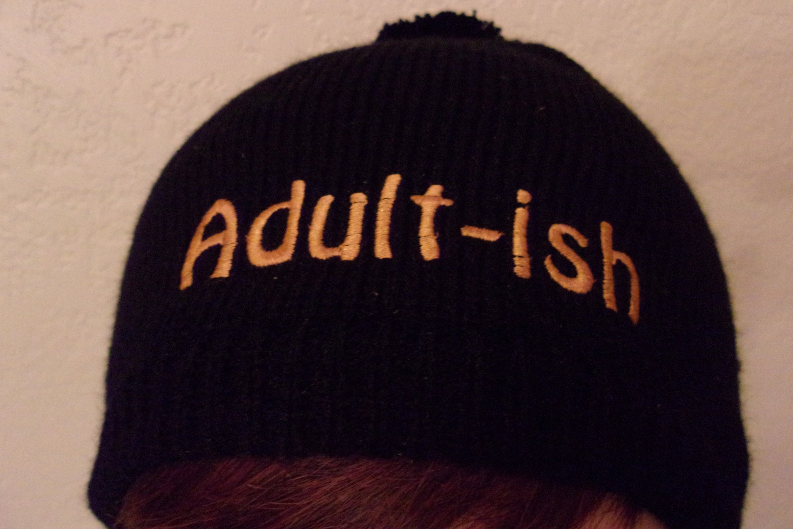 Funny knit hat fun sayings knit beanie adultish winter hat Etsy