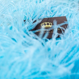 Blue Ostrich Feather, Feather Fringe, Feather trim, Natural Ostrich,  Hair Feather, feather Decoration, By the yard,  Spalvas 52