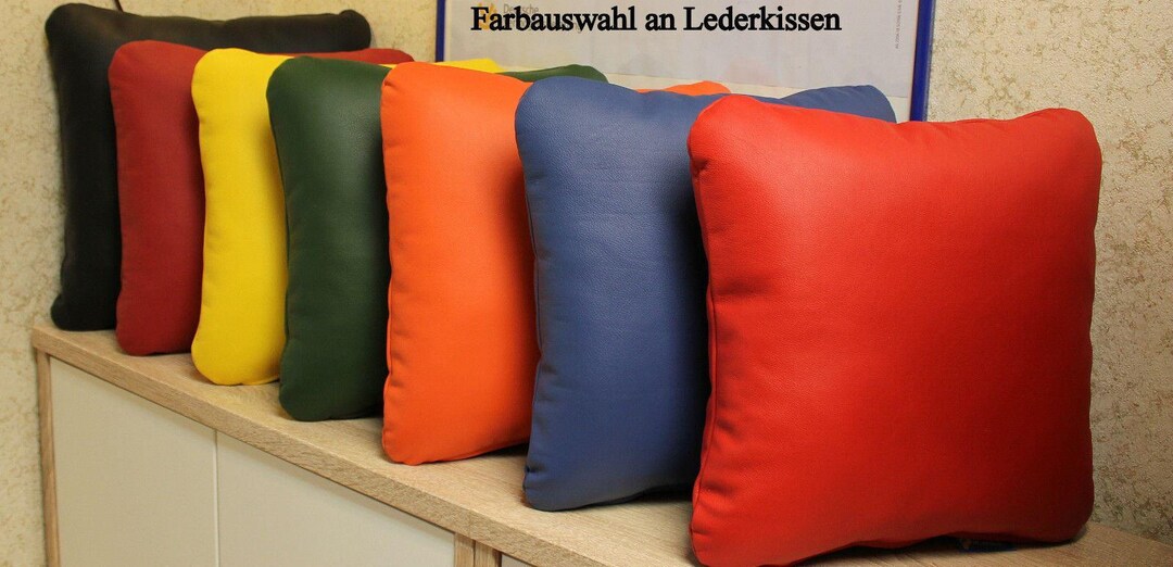 Coussiin Décoratif Cuir Véritable 40x40 – Housse Amovible – Fabriqué En Allemagne – Classique