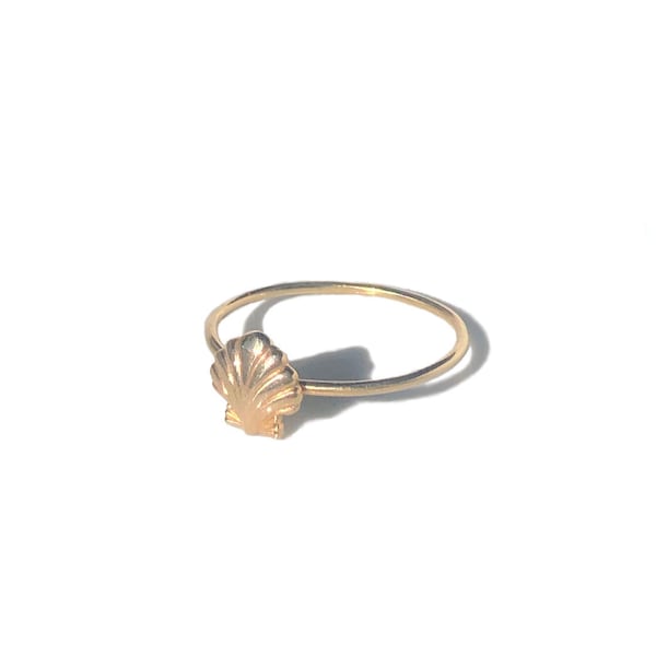 Scallop Shell ring - Solid gold OR sterling silver