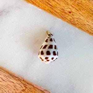 Cone Shell Charm - 14k solid gold jump ring | Chain not included!