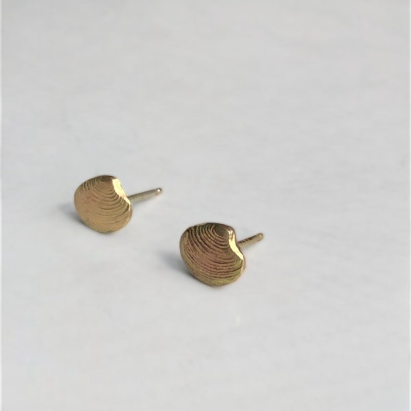 Shell earrings - 14k gold