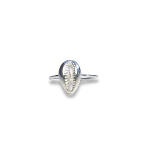 Cowrie shell ring - Large