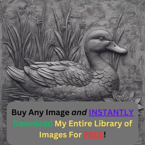 Imagen de estanque de patos lista para grabar con láser / Descarga digital de naturaleza de nenúfar / Gráficos de ilusión 3D Fotografía PNG para Glowforge XTool