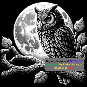 Afbeelding van een zittende uil Lasergesneden brandbestand | Gedetailleerde digitale download 's nachts bij maanverlicht | 3D-illusie-graphics png-foto Glowforge - 0328