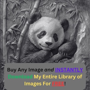 3D-laserbestand pandaportret | Asian Wildlife Digital Download PNG voor Glowforge XTool