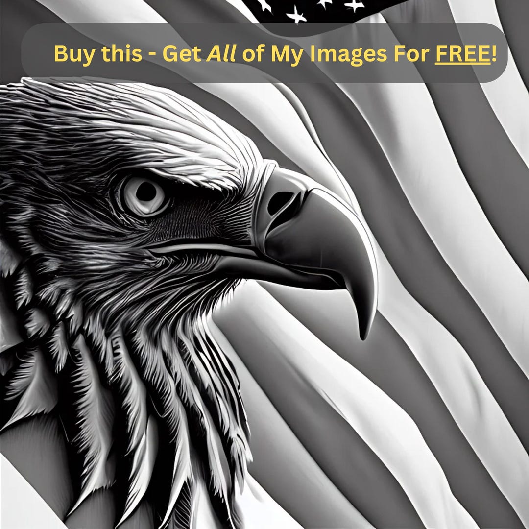 Digital Design File - American Eagle With USA Flag 3 - Glowforge ...