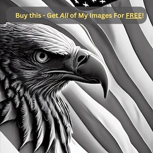 Digitaal ontwerpbestand - Amerikaanse adelaar met Amerikaanse vlag 3 - Glowforge | Lightburn laserklaar graveren png-formaat - hout - 3D-illusie