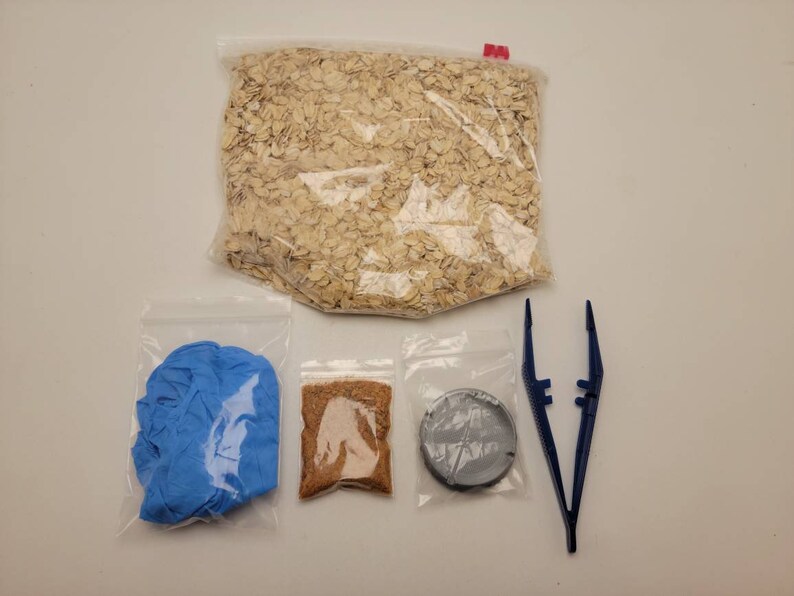 Mealworm Breeding Kit Includes Live Mealworms FREE SHIPPING Etsy