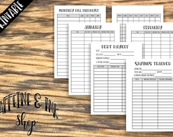 A5 Financial Planner PRINTABLE INSERT, Budgeting Planner, Budget, Digital Download, Family Planning, Household Planner, Debt Planner