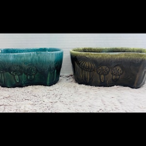 May include: Two ceramic planters with a mushroom design. One planter is green and the other is brown.