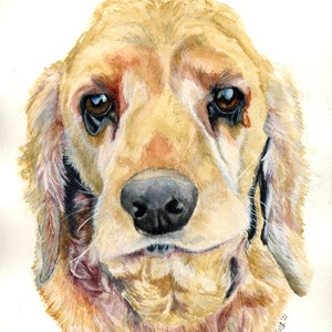 Custom pet portrait in watercolor, painting from photo, dog portraits, dog painting, Dog Art, Cat Art, Pet Loss Rainbow Bridge Memorial image 1