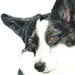 see more listings in the Custom Pet Portraits section